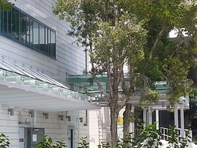 Glass houses and cabins — Glass Houses & Cabins