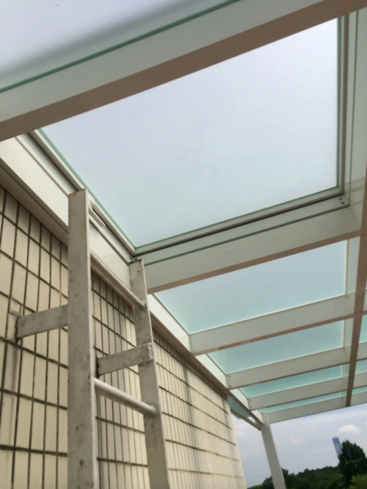 Glass houses and cabins — Glass Houses & Cabins