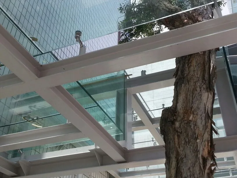 Glass houses and cabins — Glass Houses & Cabins